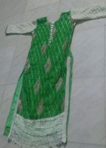 Beautiful Parrot Green Suit Set