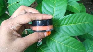 SWISS BEAUTY Cream N Tint