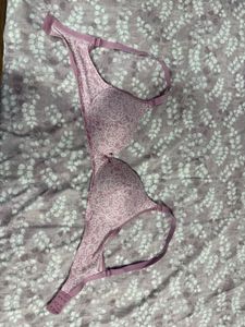 Enamor Padded Non Wired Bra