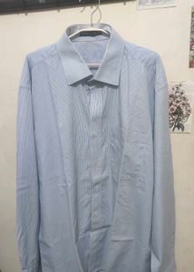 Blue Shirt Old Money