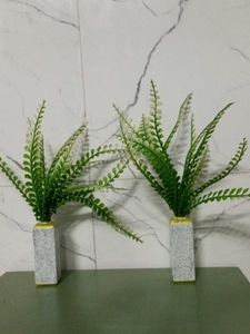 Decorative Ferns in glass Stone Vases (Set of 2)