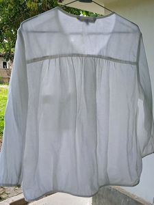 Cotton Top
