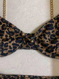 2pc Leopard Print Bikini Set