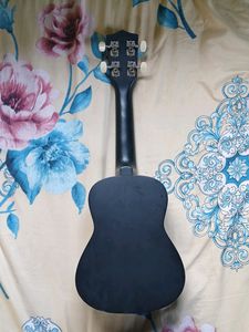 Intern Black Ukulele Tell Your Price And Take It