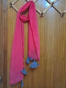 Scarf With Tassels