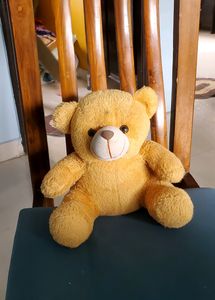 Soft Toys Combo Big And Small Teddy