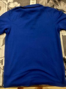 U.S. Polo Assn. Collar Tshirt