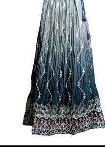 Embroidered Lehenga With Blouse
