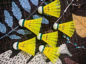 Badminton Shuttlecocks
