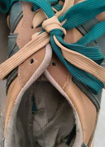 Gucci Shoes And A Pair Of Sports Shoe