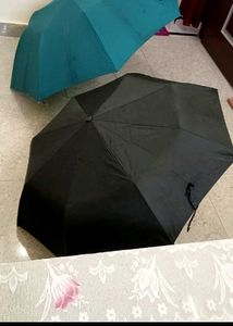 4  Umbrella Set