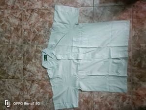 Formal Half Sleeve Shirt