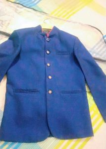 Stylish Blue coat