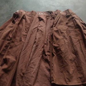 Brown Pleated Shorts
