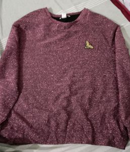 Shimmer H&M Sweater Free Size