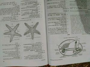 Bsc Zoology Practical Book.