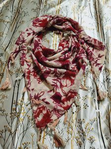 Beautiful Stole For Women 🎨