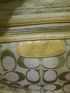 Coach Green Signature Hobo Bag