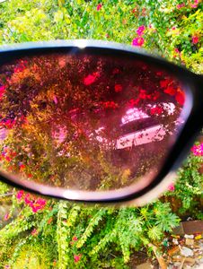 Butterfly Sunglasses For Women🎀