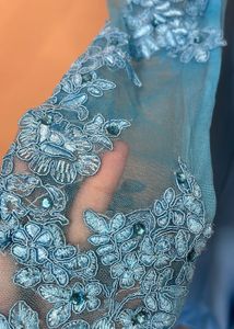 Blue Trail Gown