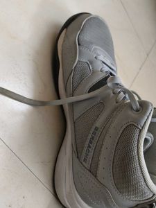 Bersache Gray Sneakers