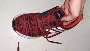 Adidas Shoes