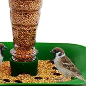 Bird Feeder