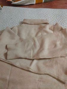 Stylish Turtleneck Sweater