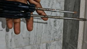 Combo of Screw driver &amp; Wire cutter