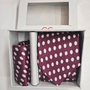 Tie Set For Men Fashion