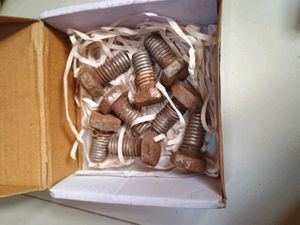 Bolts in Box