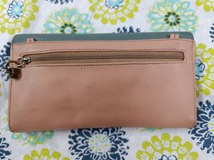 Baggit Clutch