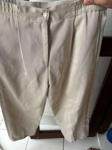 Elegant Beige Blazer