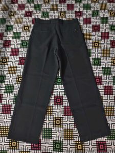 Men Straight Fit Pleated Trouser