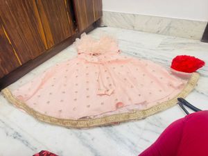 Pink Embellished Lehenga Choli