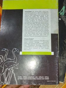 Eng book 12