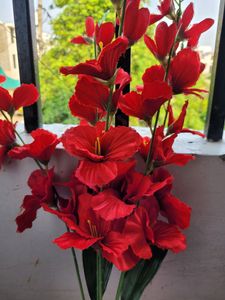 Red Hibiscus Flower Bunch