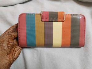 Striped Colorful Clutche