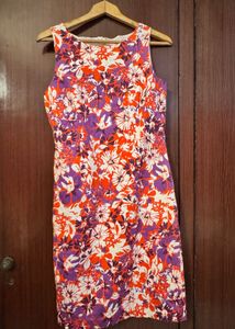 Elegant Knee Length Dress