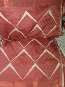 Limited Time Offer On Stylish Organza Saari