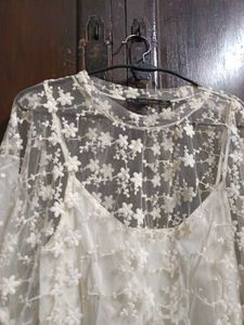 Romantic Zara Basic Cream Floral Embroidered Mesh