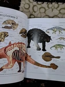 Visual Dictionary