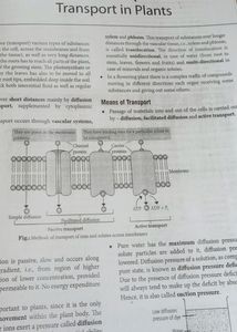 Biology 1 2 NCERT Spiral Binding Notes With MCQ