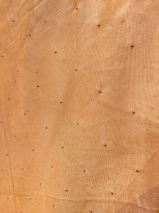 Golden Saree with Embellishments