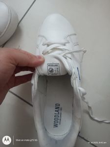 Woodland White Sneakers - Size 7