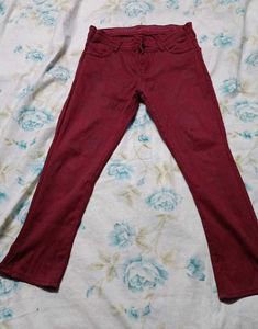 Trouser Pant For Women