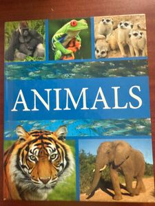 Educational Books Lot - Science &amp; Nature