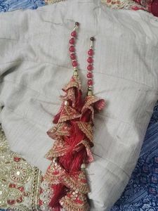 Embroidered Lehenga Choli