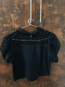 Sheer Sleeve Top