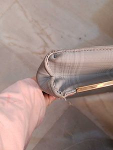 Handbag With Minor Chirpings